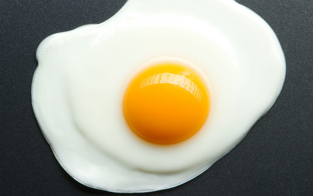 MYTH: Egg Yolks Are Bad For You