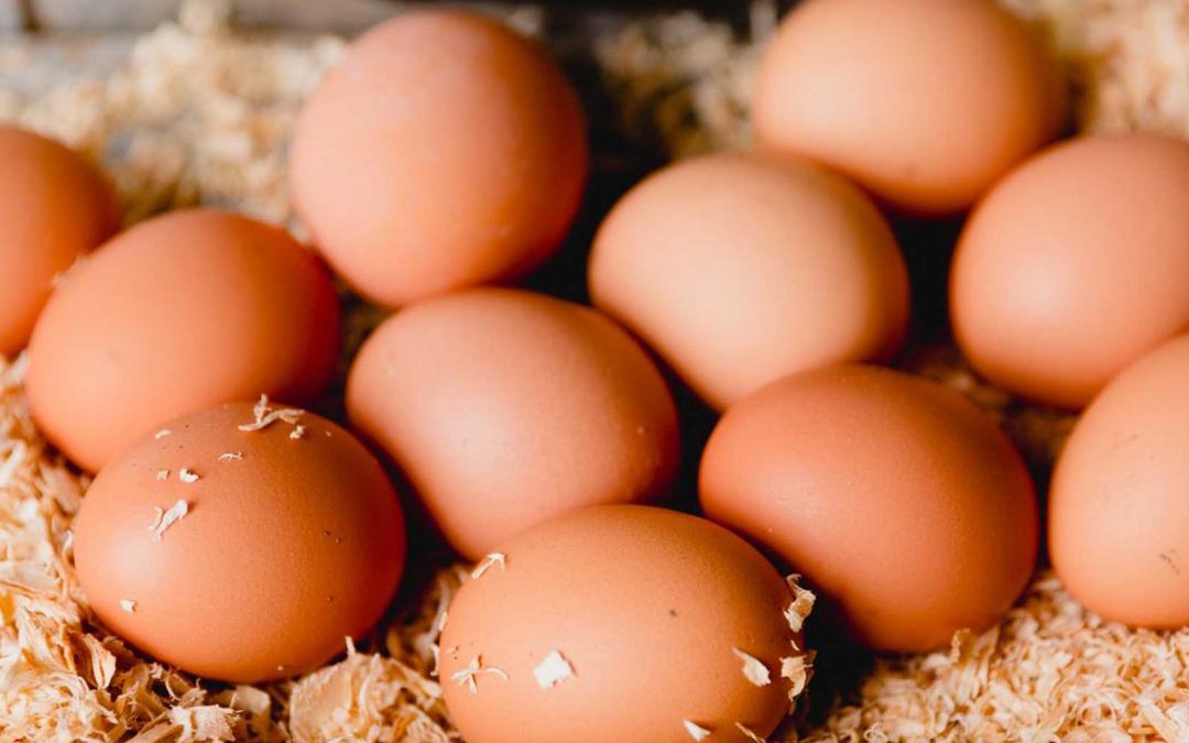 1000 year old eggs