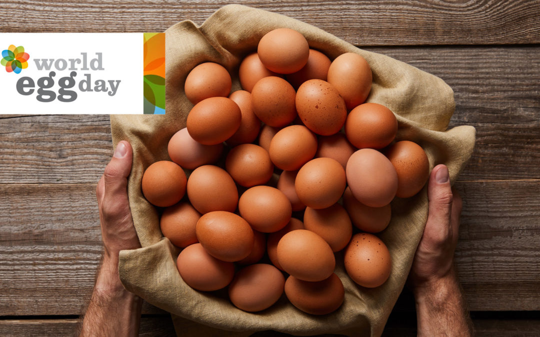 The environment and the egg industry – food for thought on World Egg Day