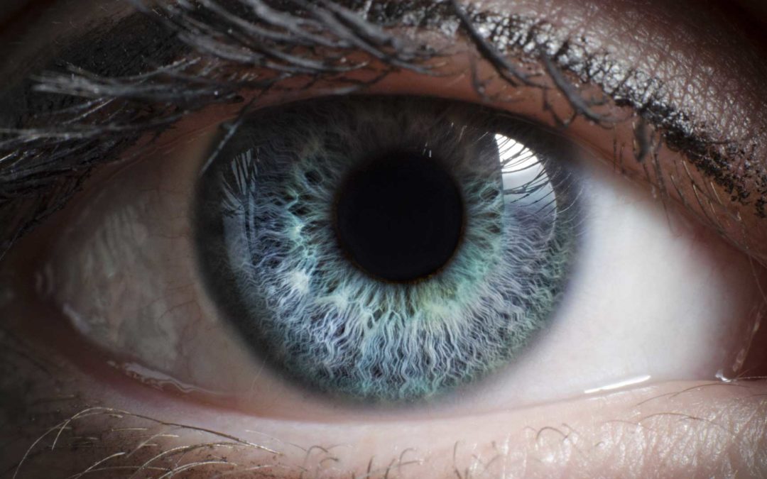 Micronutrients in egg yolks support eye health.