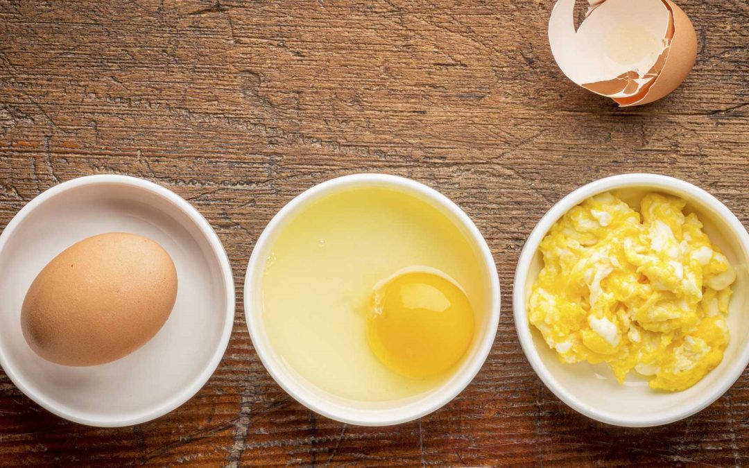 Eggs and your diet