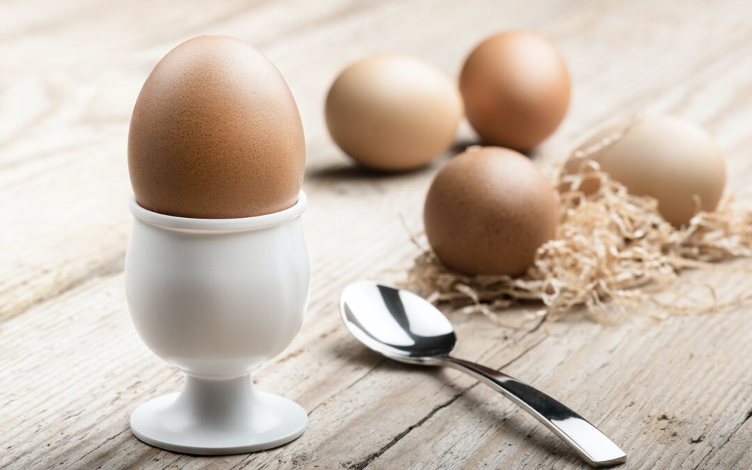 Eating Eggs Linked To Brain Development