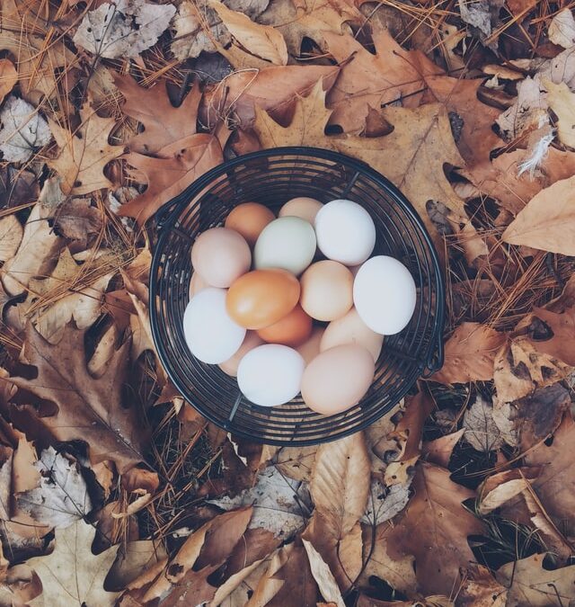 Myths About Eggs
