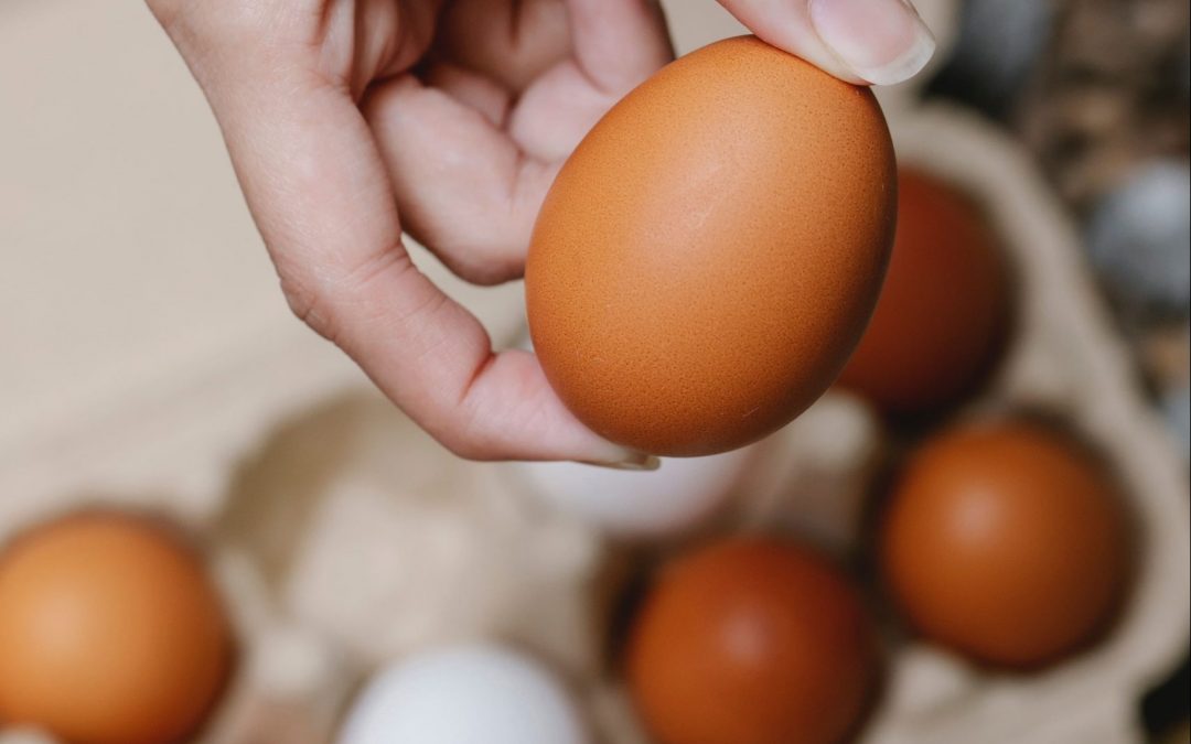 Unusual Uses for Eggs