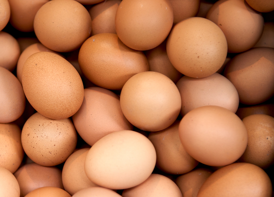 Keeping the Eggs Coming in the winter time