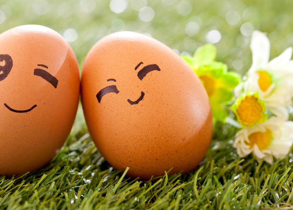 Sunny September Eggs – Bringing Sunshine to Spring