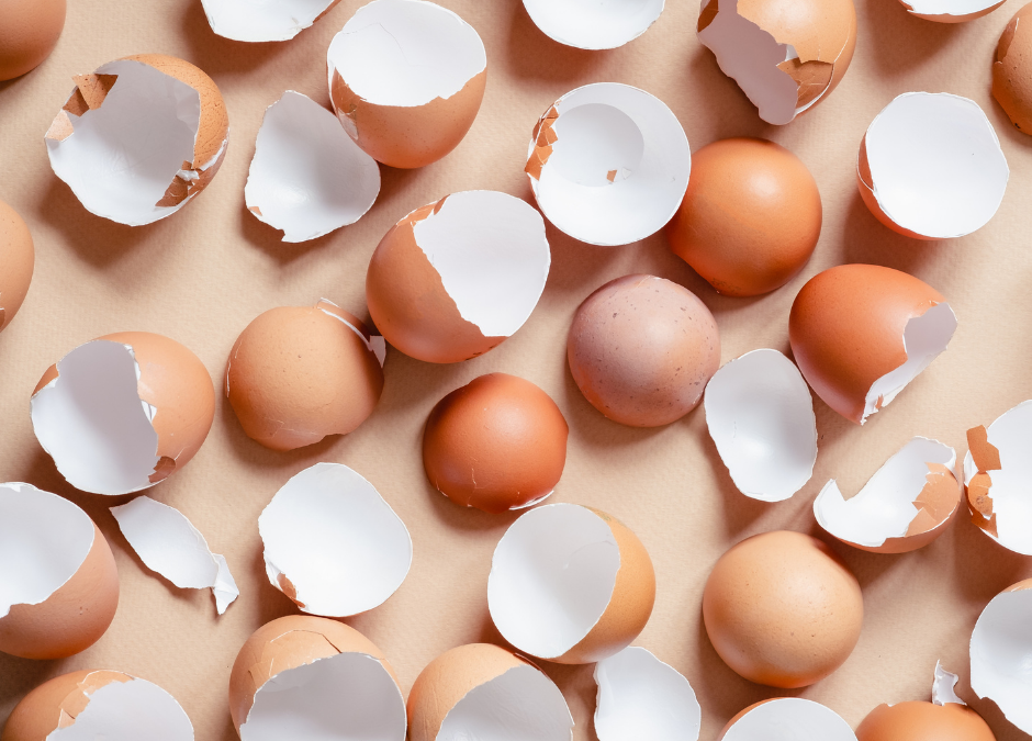 The Physics of Eggshells and the Natural “Bloom”